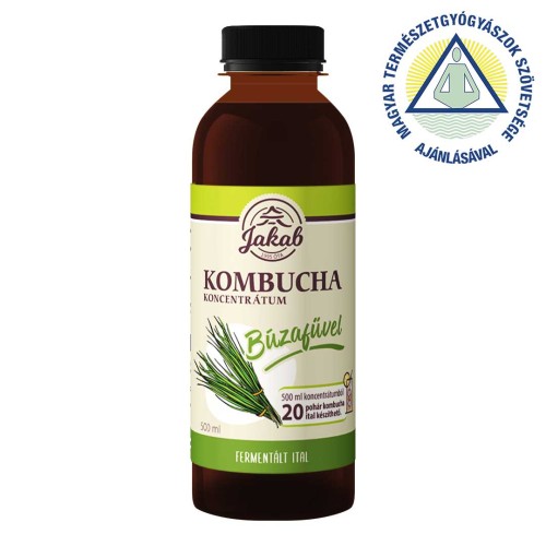 VIVA NATURA Concentrat  KOMBUCHA cu grau incoltit 500ml