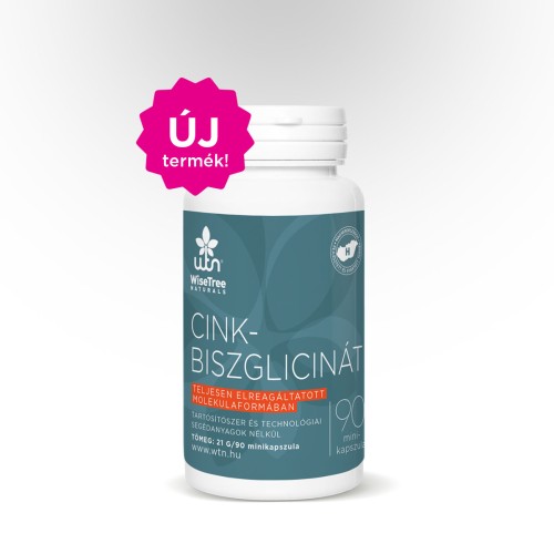 WTN ZINC-BISGLICINAT 90 minicapsule