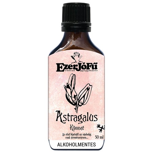 ASTRAGALUS KIVONAT 50 ML
