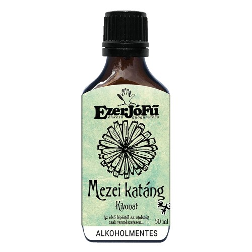 Extract de Cicoare (Cichorium intybus)-50ml