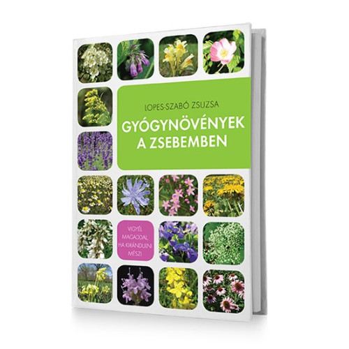 Gyógynővények a zsebemben