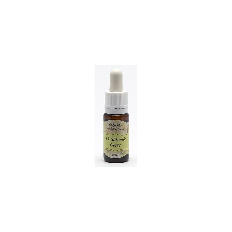 Bach13. Gorse (Orz Salbatic) -10ML