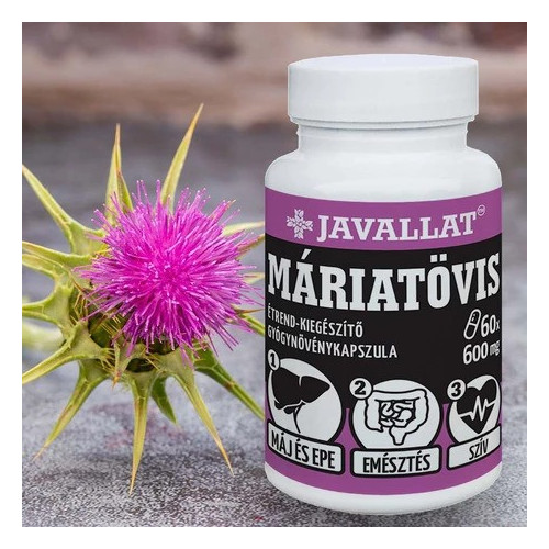 Javallat Máriatövis 600 mg – 60 kapszula