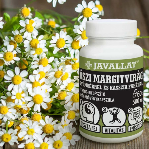 Javallat Őszi margitvirág gyömbérrel és kasszia fahéjjal (60 db)