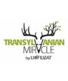 Transylvanian Miracle